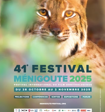 Festival International du Film Ornithologique de Ménigoute 2025 affiche