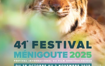Festival de Ménigoute
