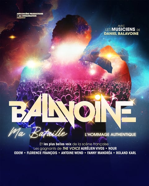 Balavoine, ma bataille