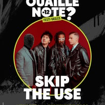 Skip The Use, Flavia Coelho, Atili