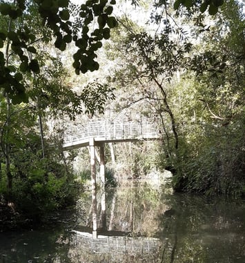 Exposition photo : découvrez Arçais et la richesse de son marais !
