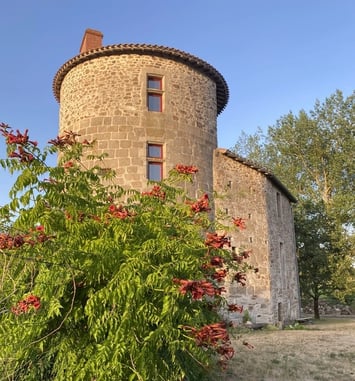 Visite commentée : "20 ans de restauration du vieux château"