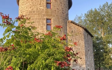 Visite commentée : "20 ans de restauration du vieux château"