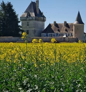 Ouverture exceptionnelle du château de Jouhé : visites guidées