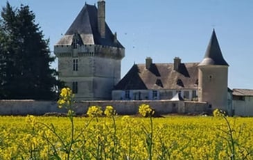 Ouverture exceptionnelle du château de Jouhé : visites guidées