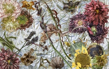 Exposition "Imaginaire végétal"