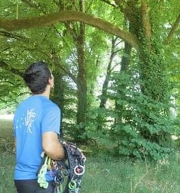Grimpe dans les arbres avec Ianis d'Arbor Addict