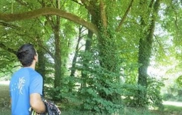Grimpe dans les arbres avec Ianis d'Arbor Addict