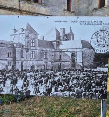 Balade d'antan : cartes postales anciennes au fil des rues