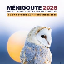 Festival de Ménigoute