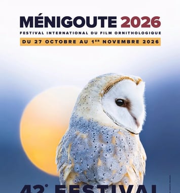 Festival de Ménigoute