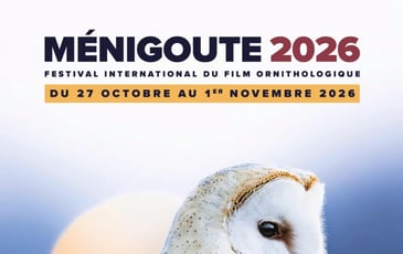 Festival de Ménigoute