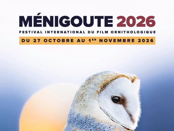 Festival de Ménigoute