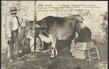 Visites libres et commentées, Exposition : L'histoire est dans le pré. Mutations de l'agriculture dans les Deux-Sèvres au XXe siècle