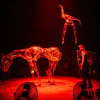 Nocturne (parade)