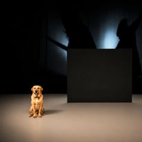 La Confiance
