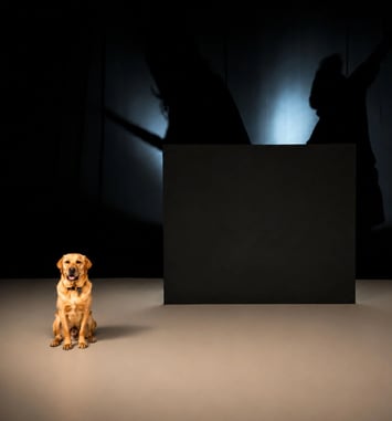 La Confiance