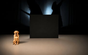 La Confiance