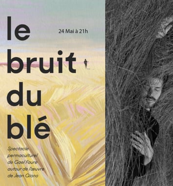Le bruit du blé